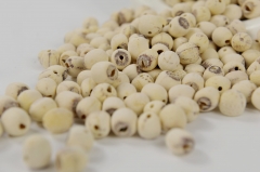 九珠300g莲子磨皮白莲子